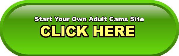 Not start a adult web site business apologise, but Start a adult web site business opinion you