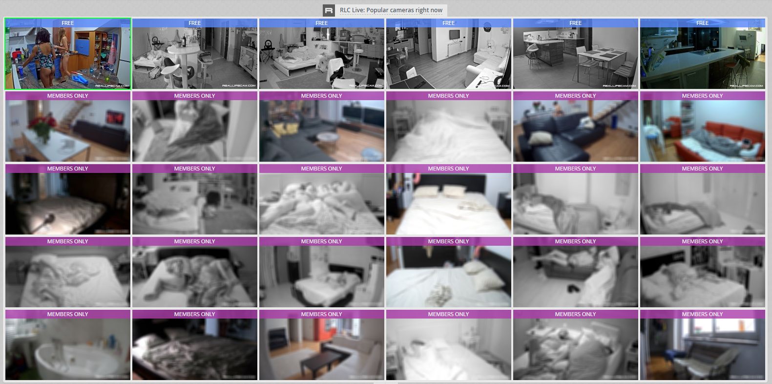 reallifecam.com