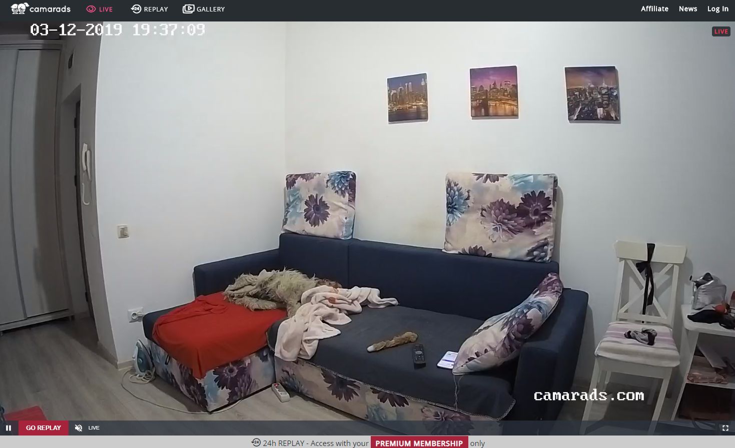 Camarads Review