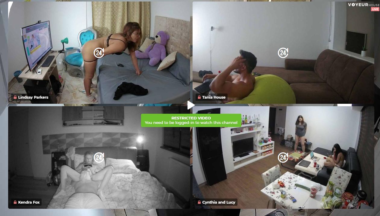 Voyeur house 