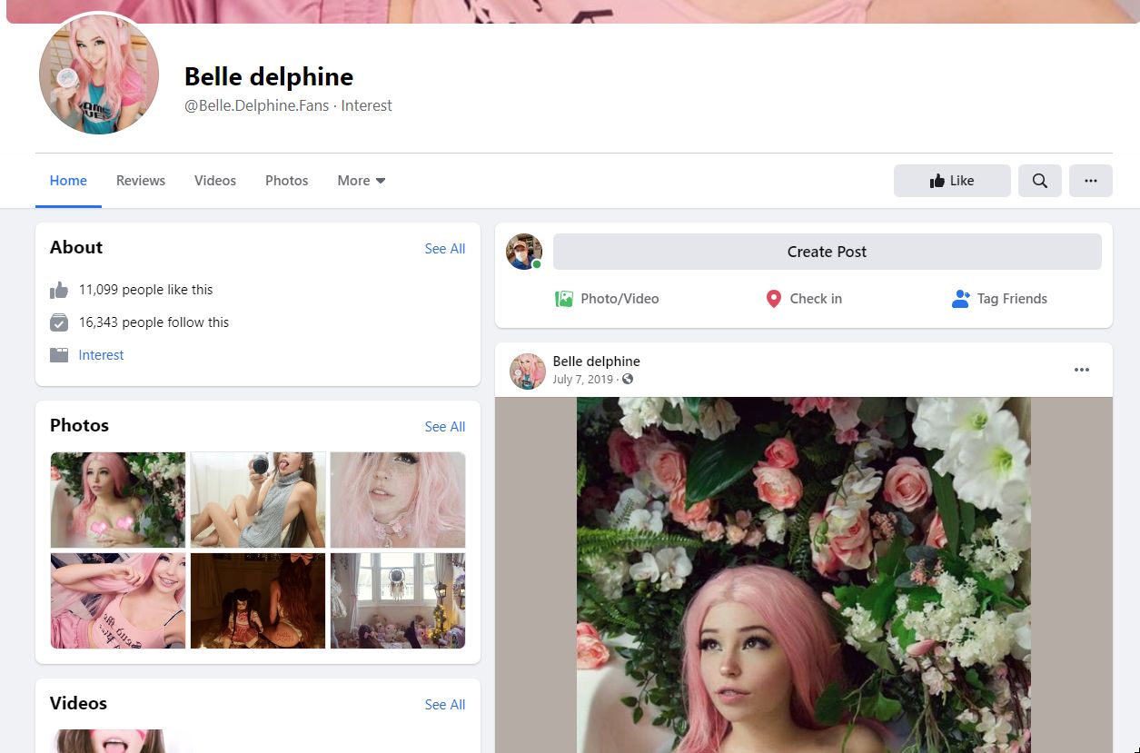 Belle Delphine Facebook