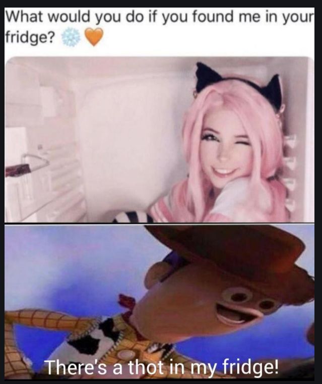 Belle Delphine memes