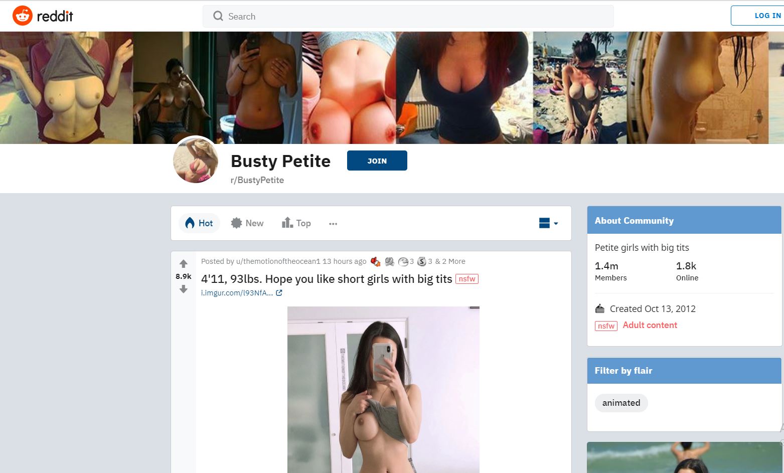 BustyPetite