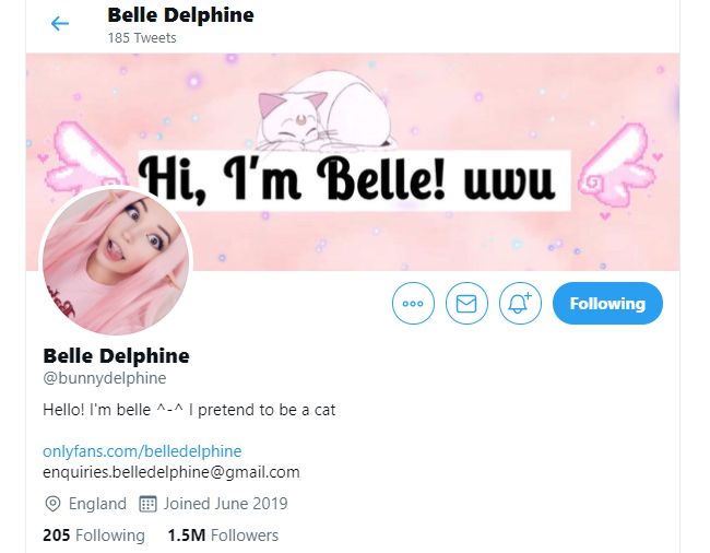 belle delphine twitter
