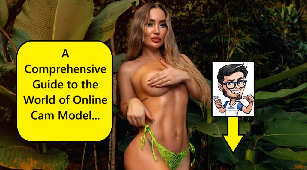 online webcam modelling