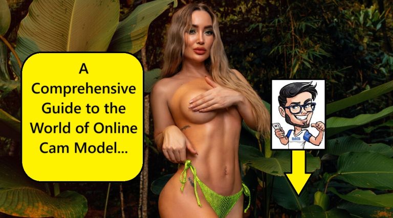 online webcam modelling
