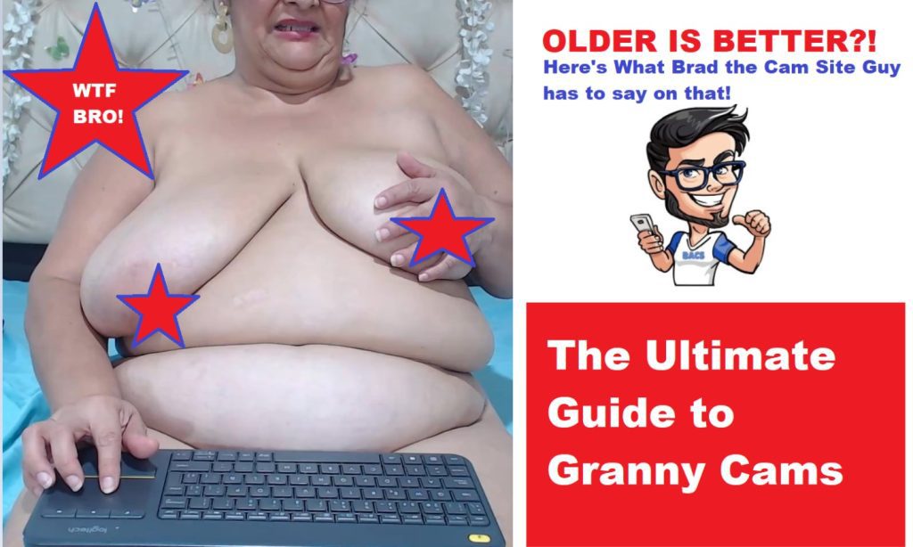 guide to granny cams
