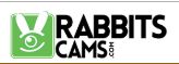 Rabbitcams