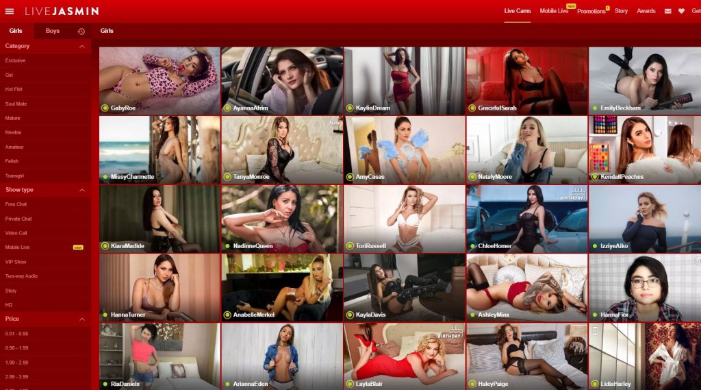 What you see at LiveJasmin.