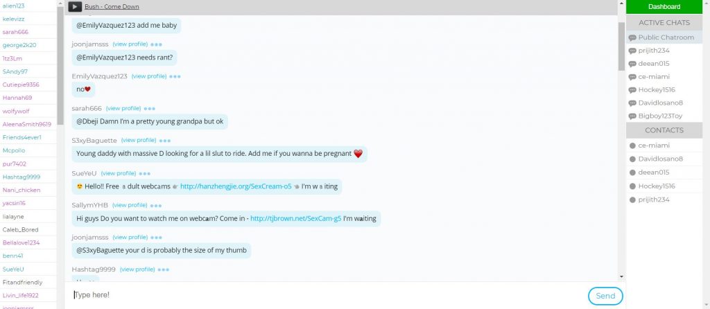 FaceFlow public chat FaceFlow public chat
