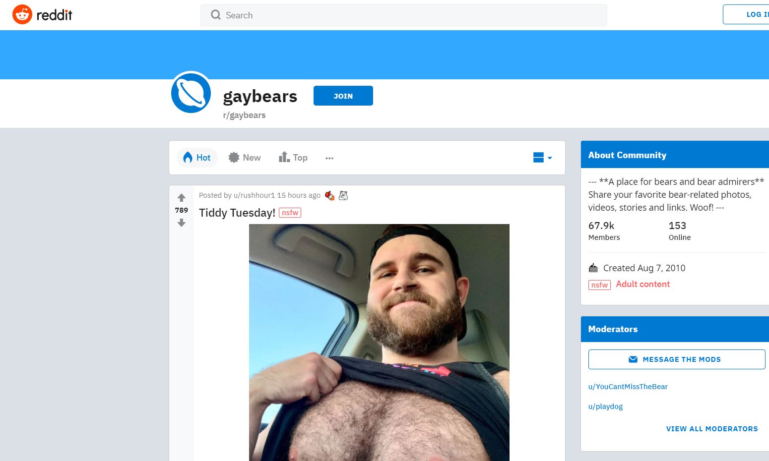 gaybears
