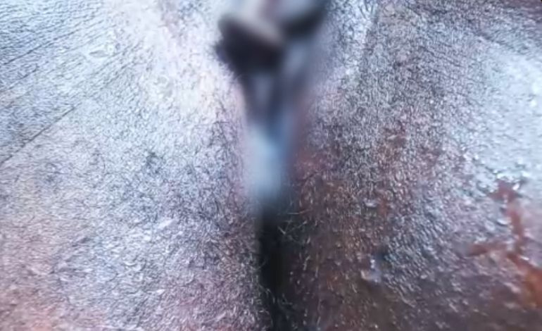 ebony squirts ebony squirts